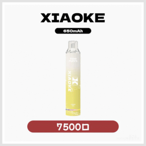 XIAOKE梟客電子煙一次性拋棄式7500口可充電【25種口味】