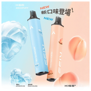 KISS凱斯電子煙一次性/拋棄式菸桿 6500口南極冰口味